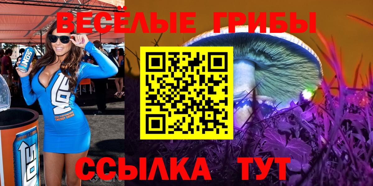 Алексеевка  где можно купить наркотик  Вход с VPN  Галлюциногенные грибы Psilocybe 